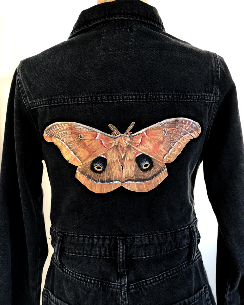 Progress photos of one of my garment projects! Hand painted polyphemus moth appliqué sewn on used de