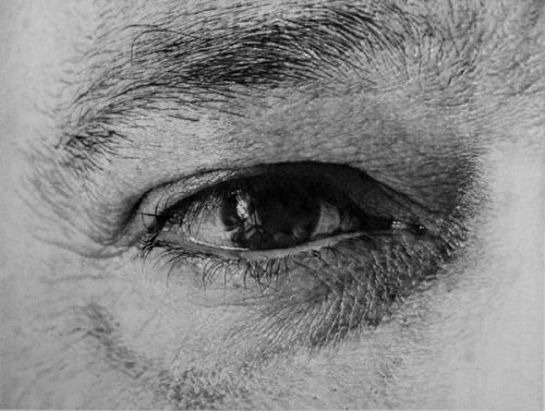 nevver:  The eyes have it: Captured on paper, Sonja Gangl