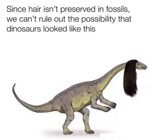 dankmemeuniversity: