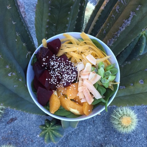 paleo-experiment: Salad with Beets, Carrots, Green Onions, Oranges, Coconut Flakes, and Sesame Seeds