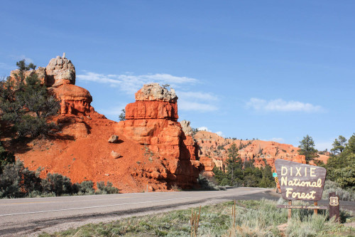 Red Canyon, Dixie National Forest, UtahApril 2015An All-American Road Trip