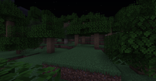 nothing to see here. just a normal forest outside of spawn.IP: mc.kivcraft.ca
