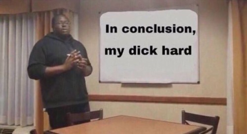 Whats Up Stallion For Asia, Man, We Paved The Way