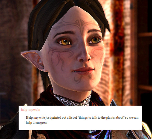 jewishzevran:@help-mywife + dragon age 2 wlw love interests/player charactersscreencaps by @dailypic