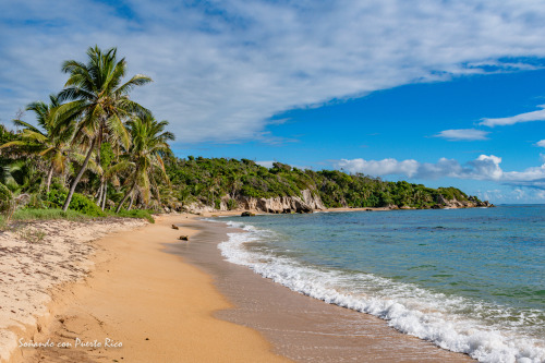 Icacos Beach, Guayanés Dry Forest, Yabucoa, Puerto Rico