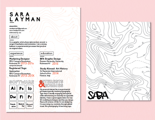 personal identity system : résumé