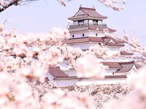  Sean Bienvenidos Japonitasarqueologicos, A Un Nuevo Especial Ya Somos 2400 Seguidores Mil Gracias Por