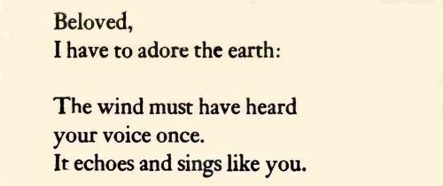 oxytekie:love-carrying windhenry dumas - knees of a natural man: the selected poetry of henry dumas // david ligare // doris dana in a letter to gabriela mistral, translated by velma garcía-gorena