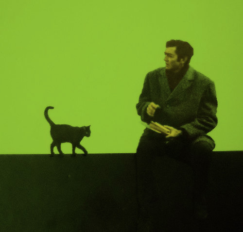 lx-niebla:Julio Cortazar