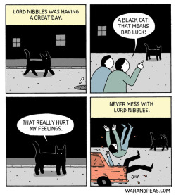 archiemcphee:  Black cats are awesome and War