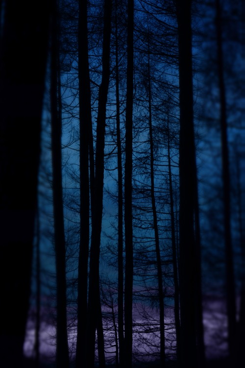 frostklamm:  inner moonlight 