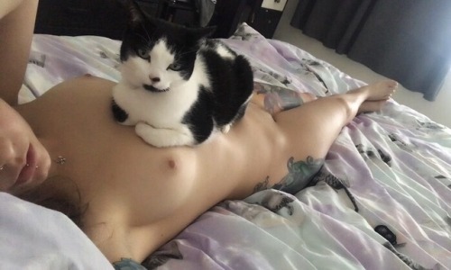 la-femme-publique:Cheese the Cat  porn pictures