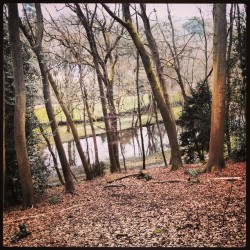 En bas bwa la #NANTES #nantagram #instaweek #instagram #foret #bois #campagne #riviere #erdre #oiseau #NantesAtlantique  #loireAtlantique  (à Val Du Cens)