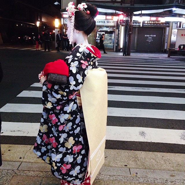 geisha-kai:  October 2014: maiko Ichiharu wearing a butterfly kimono by @marcyanasution