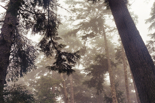 Mist by Michael P Vader on Flickr.