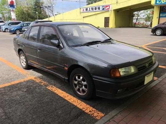 Nissan Primera P10 | Explore Tumblr Posts And Blogs | Tumgir