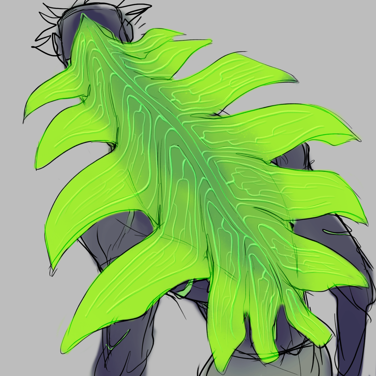 deadwooddross:Some more chimera stuff…adults retain the cabbage flaps, they’re