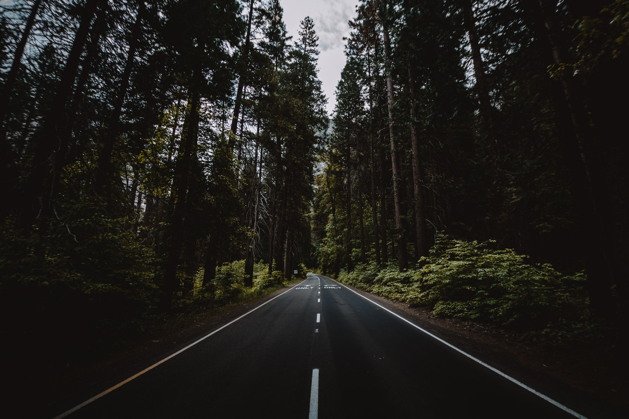 jasonincalifornia:Love driving these Yosemite Valley roads.
