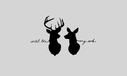 the-marauders: we are …                    