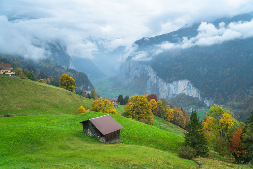 Late fall is upon us! Getting hyphie for the next few months as the season began to change. Switzerl