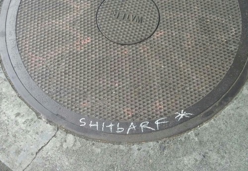 A few Seattle vandalism faves. ‘Ol shitbarf has some competition. Is stinky vying for the crow