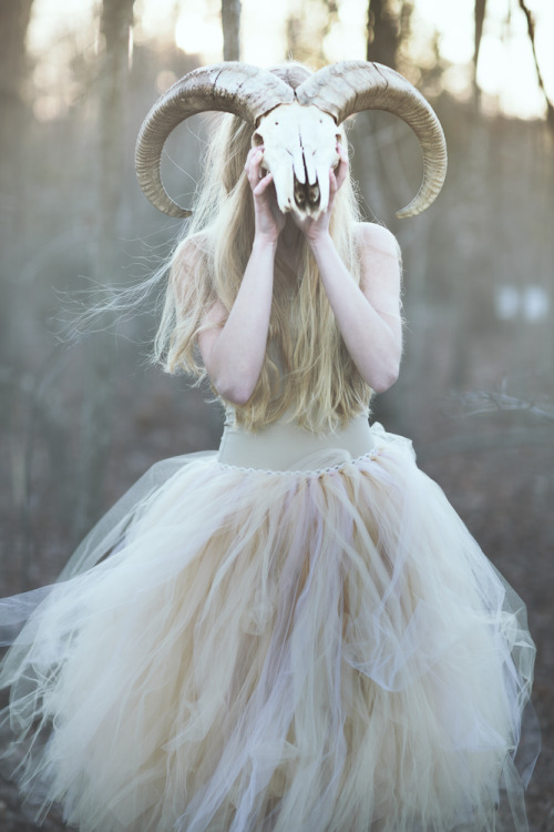 boudoirduchaman: T h e   F o r e s t    S o n g   by  Emily Soto 