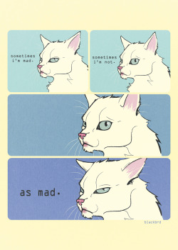 jlocccs:  beakfreaks:(Not Bird) but here is a cat version of the Mad Bird comic.  xtralovely