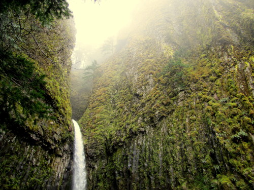 Dry Creek Falls, Oregon March, 2014