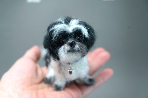 A needle felted Shih Tzu based on pet photos.  Have a great weekend!