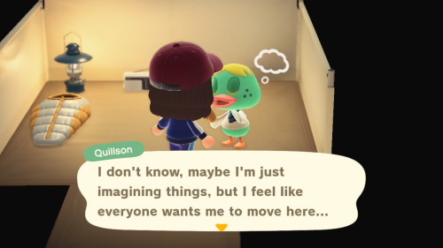 No, Quillson. Literally NO ONE wants you to move here, but I don’t have a choice, because Tom Nook i