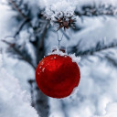 darkangelfoundmyway-069:dreambigforher:rudolphs-merryxmas-deactivated2:🌹😏😚💕🖤💕 Carpe Diem 💕🖤💕