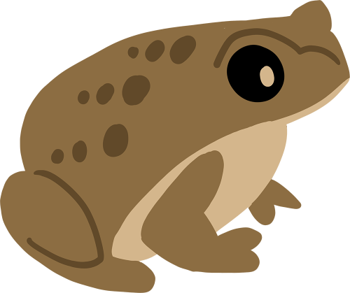 a simple drawing of a brown toad