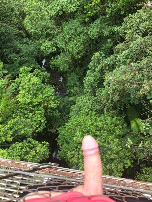 Exploring the jungle on vacation. I was feeling generous and allowed his little guy out of its cage 