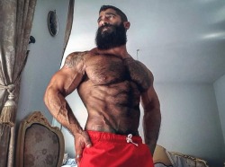 muscleryb:  Doumit Ghanem  