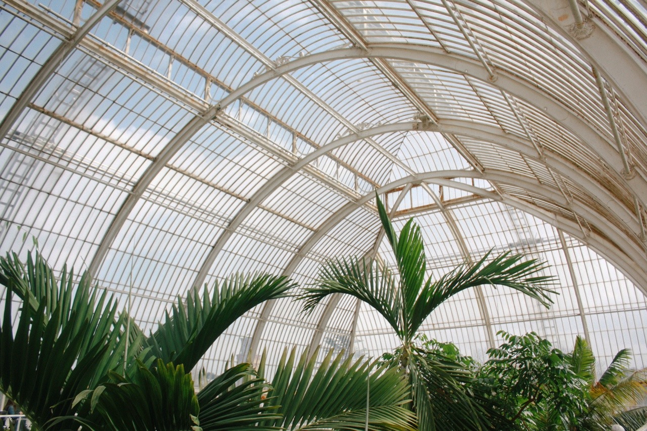 courtneymolyneaux:  Kew Gardens, London 2015