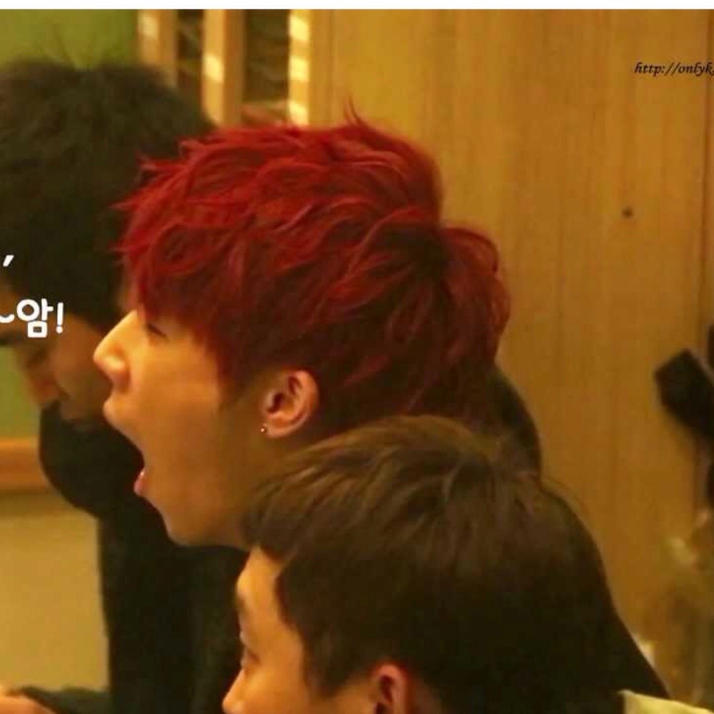 dongwtf:  Sleepy Gyu (๑ᵕ0ᵕ̤) zZ 