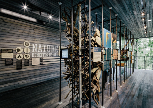 Mithun - Sustainability Treehouse (Boy Scouts Of America)