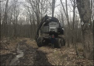 Roaring Rock Park Logging Plan is a raw deal