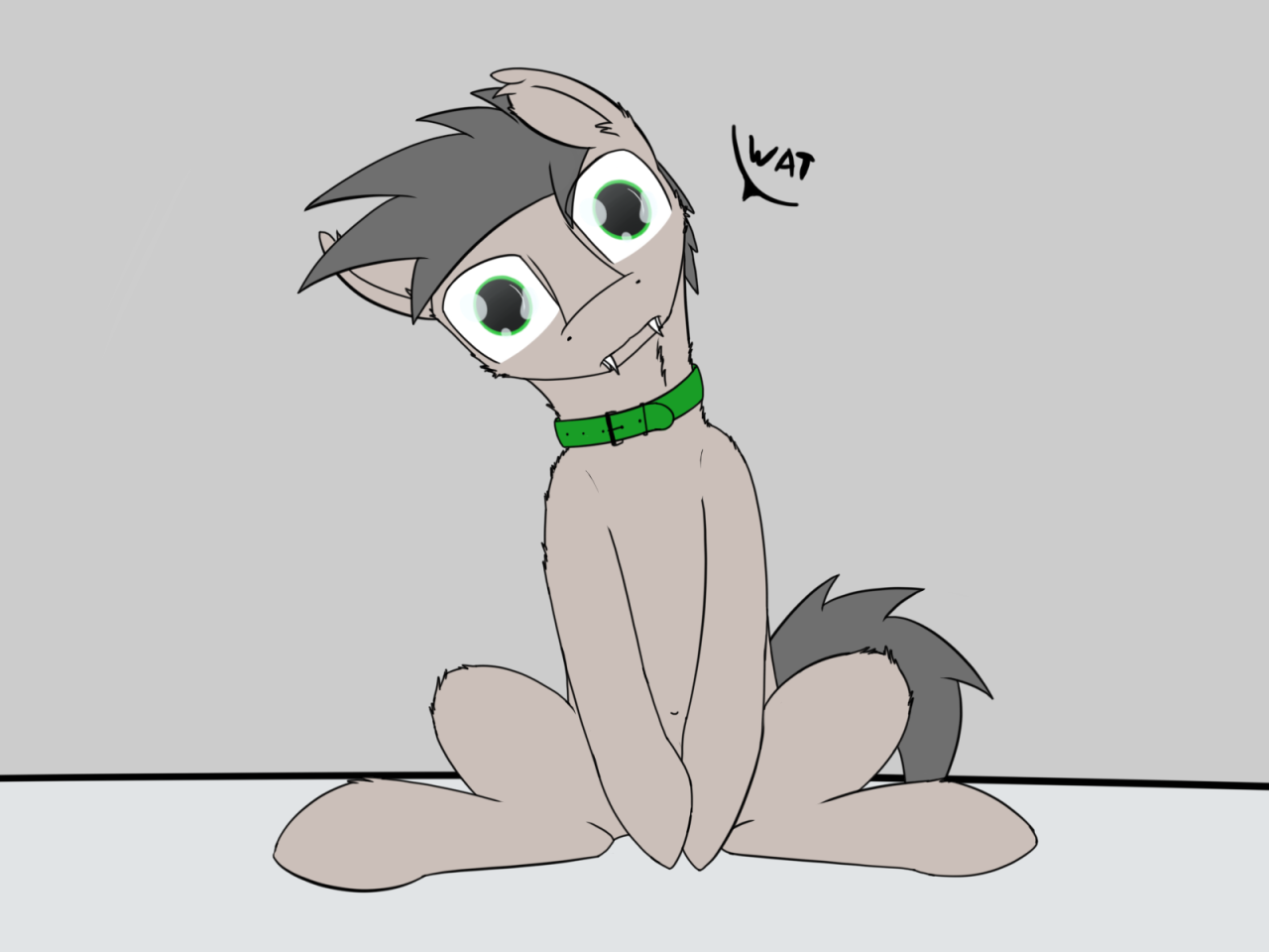 o3o