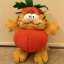 garflvr37