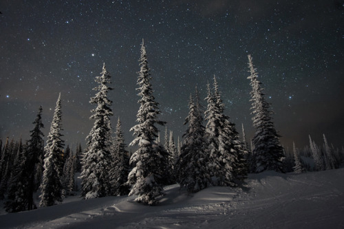 tidalweaves:  thisiswander:  Luke GramBritish Colombia, CanadaCanon 5D Mark II What other parts of the world would you like to visit besides where you live? Hard question. I mean, everywhere really. But more specifically at the top of my list are Africa,