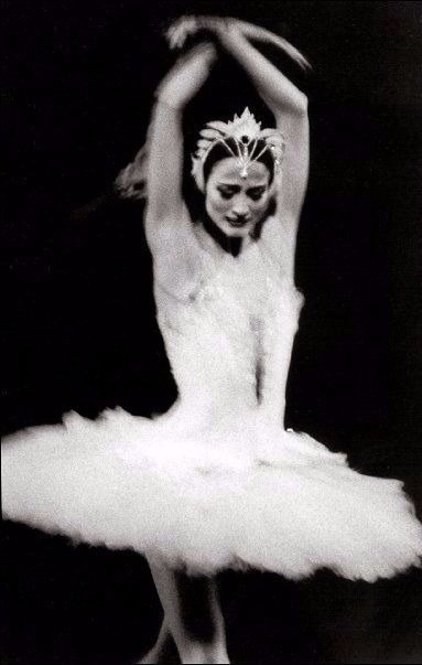 vaninnavaninni:Julie Kent as Odette in Swan Lake.