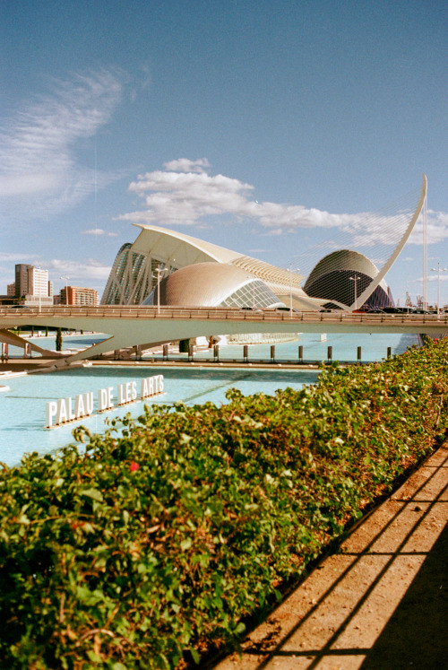 palau de les arts | valencia, noviembre 2019kodak gold 200nikon f90nikkor 28-85 f/3.5-4.5 af