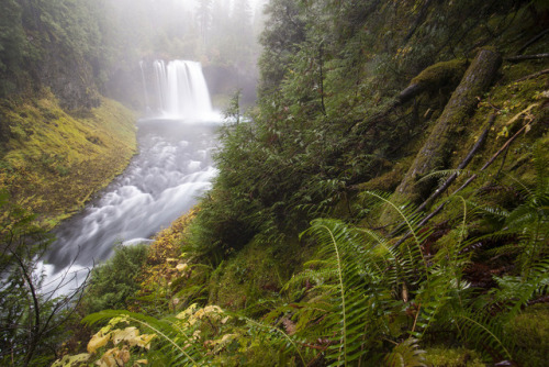 McKenzie River and Tamolitch Pool by Jérémy RONDAN