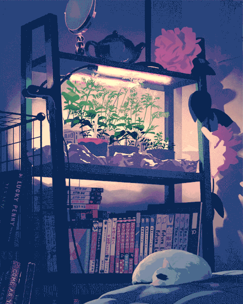 “Midnight Garden”full version (square version on twitter)I made some personal animated work for the 