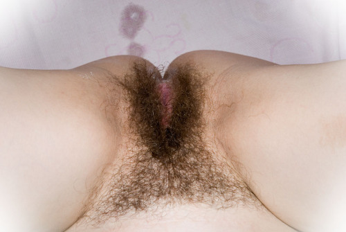 hairybushlover1:   ❤    MMMMM