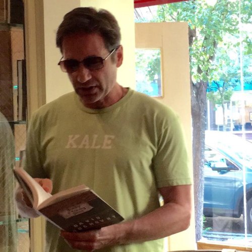 scullyitsme: dangerscully: alliwannadoisbangscrew: david duchovny’s veggie shirts This is a bl