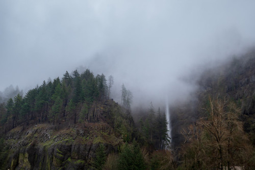 Washington State by Billy Harner