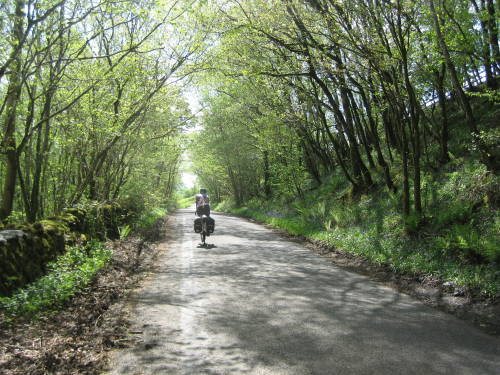 pannier: Dodging sunbeams on a quiet Cumbrian lane. #cycletourfest