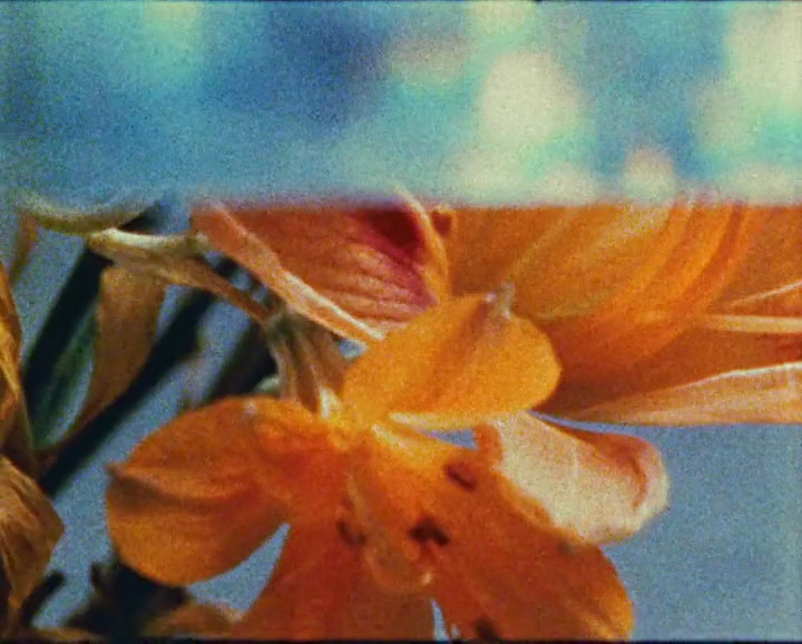 365filmsbyauroranocte:   White Film (Joseph Bernard, 1978)  